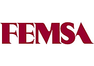 FEMSA (Fomento Econmico Mexicano)